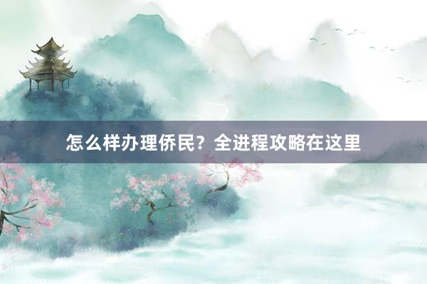 怎么样办理侨民？全进程攻略在这里